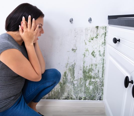 Protecting Your Home or Apartment From Mould