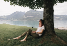 How To Keep Trees Healthy On Your Property